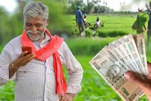 ଆଜି ସିଏମ କିଷାନ ଯୋଜନାର ଶୁଭାରମ୍ଭ କରିବେ ମୁଖ୍ୟମନ୍ତ୍ରୀ, ଚାଷୀଙ୍କ ବ୍ୟାଙ୍କ ଖାତାକୁ ଯିବ ପ୍ରଥମ କିସ୍ତିର ଟଙ୍କା