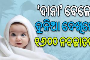 ବାତ୍ୟା ‘ଦାନା’ର ଭୟ ଓ ଆଶଙ୍କା ମଧ୍ୟରେ ଦୁନିଆ ଦେଖିଲେ ୧୬୦୦ ନବଜାତକ