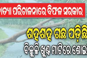 ସରକାରଙ୍କ ମୁଖା ଖୋଲିଲେ ନିଜ ଦଳର ବିଧାୟକ: ପ୍ରଚାରଠାରୁ ବାସ୍ତବତା ଭିନ୍ନ; ଶହଶହ ଗଛ ପଡ଼ିଛି, ବିଜୁଳି ଖୁଣ୍ଟ ମାଟିରେ ଶୋଇଛି…