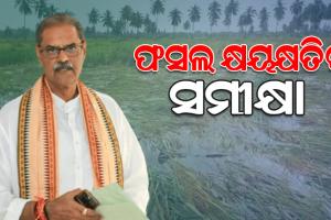 ବାତ୍ୟାଜନିତ କୃଷି କ୍ଷୟକ୍ଷତି ସମୀକ୍ଷାର ପ୍ରାଥମିକ ରିପୋର୍ଟ: ‘ରାଜ୍ୟରେ ୭୯ ହଜାର ୬୭୧ ହେକ୍ଟର ଚାଷ ଜମି ପ୍ରଭାବିତ’