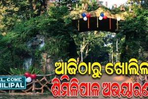 ଆଜିଠୁ ପର୍ଯ୍ୟଟକଙ୍କ ପାଇଁ ଖୋଲିଲା ଶିମିଳିପାଳ ଅଭୟାରଣ୍ୟ