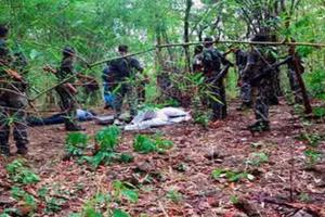 ଛତିଶଗଡ଼-ମହାରାଷ୍ଟ୍ର ସୀମାରେ ସଂଘର୍ଷ: ୫ ମାଓବାଦୀ ନିହତ, ୬୦ ଯବାନ ଆହତ