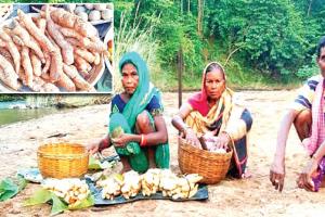 ଆଦିବାସୀଙ୍କୁ ରୋଜଗାର ଦେଉଛି ‘ପିଠଳ’