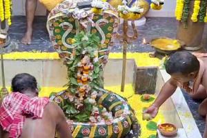 ଚନ୍ଦ୍ରଚୂଡ ବେଶରେ ଦର୍ଶନ ଦେଉଛନ୍ତି ବାବା ଧବଳେଶ୍ଵର