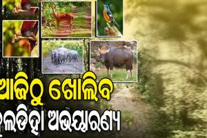 ଆଜିଠାରୁ ପର୍ଯ୍ୟଟକଙ୍କ ପାଇଁ ଖୋଲିବ କୁଲଡିହା ଅଭୟାରଣ୍ୟ