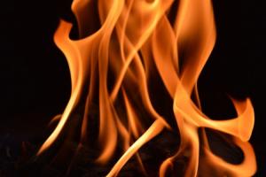 ରାସ୍ତାକଡ଼ରେ ଜଳିଗଲା ଗୋରୁ ବୋଝେଇ ଗାଡ଼ି