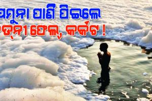 କେନ୍ଦ୍ରୀୟ ଜଳ କମିଶନ ରିପୋର୍ଟ: ଯମୁନା ପାଣି ‌ପିଇଲେ କିଡ୍‌ନୀ ଫେଲ୍‌, କର୍କଟ !