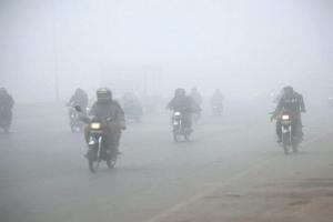 ସକାଳୁ ସକାଳୁ ରାଜ୍ୟର ବିଭିନ୍ନ ସ୍ଥାନରେ ଘନ କୁହୁଡ଼ି, ଗାଡ଼ି ଚଳାଚଳ ବାଧାପ୍ରାପ୍ତ