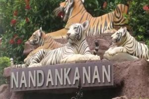 ନନ୍ଦନକାନନ ପ୍ରାଣୀ ଉଦ୍ୟାନ: ସର୍ବମୋଟ ବନ୍ୟପ୍ରାଣୀଙ୍କ ସଂଖ୍ୟା ୩୯୮୦, ଖାଦ୍ୟ ବାବଦକୁ ମାସିକ ଖର୍ଚ୍ଚ ହେଉଛି…