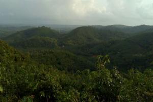 ହୁତୁ ହୁତୁ ହୋଇ ଜଳୁଛି ଶୁଳିଆ ପାହାଡ଼