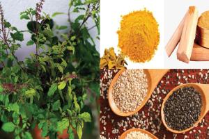 ଜାଣନ୍ତୁ କେଉଁ ଜିନିଷ ଜଳରେ ବିସର୍ଜନ କରିବେ ନାହିଁ…