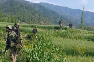 ଘେରାବନ୍ଦୀ ଅଭିଯାନ ଆରମ୍ଭ, ଅନନ୍ତନାଗରେ ୧୭୫ ଜଣ ସନ୍ଦିଗ୍ଧ ଅଟକ..