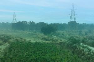 ବେଦାନ୍ତ ଆଲୁମିନିୟମ ପକ୍ଷରୁ ଜୈବ ବିବିଧତା ଦିବସ ଅବସରରେ ବନ୍ୟପ୍ରାଣୀଙ୍କ ସୁରକ୍ଷା ଓ ବାସସ୍ଥାନ ପୁନରୁଦ୍ଧାର ପାଇଁ ପଦକ୍ଷେପ ଘୋଷଣା 