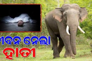 ଜନବସତି ମୁହାଁ ହାତୀପଲ; ସୀମାନ୍ତରେ ହାତୀ ଆକ୍ରମଣରେ ଯୁବକ ମୃତ, ଗ୍ରାମବାସୀ ଆତଙ୍କିତ