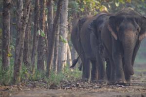 ସୁପ୍ରିମକୋର୍ଟ ଦ୍ୱାରା ନିଯୁକ୍ତ ଏସଆଇଟି ପକ୍ଷରୁ ବନତାରାକୁ କ୍ଲିନ୍ ଚିଟ୍