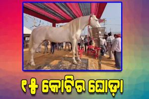 ଆଜମେରର ପୁଷ୍କରରେ ପଶୁ ମେଳା: ଚର୍ଚ୍ଚାରେ ୧୫ କୋଟିର ଘୋଡ଼ା ‘ଶାବାଜ’