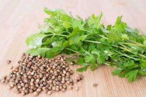 ଓଜନ ନିୟନ୍ତ୍ରଣକାରୀ ଧନିଆ: ଚର୍ବି କମାଇବାରେ ମୁଖ୍ୟ ଭୂମିକା ନିଭାଇଥାଏ