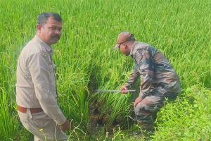 ଲକ୍ଷ୍ମୀପୁର ଗାଁରେ ବୁଲୁଛି ବାଘ, ଲୋକେ ଭୟଭୀତ