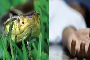 ସାପ କାମୁଡ଼ା ମୃତ୍ୟୁ ପାଇଁ କ୍ଷତିପୂରଣ ରାଶି ୧୦ ଲକ୍ଷ ହୋଇପାରେ....