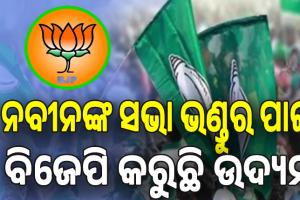 ନବୀନଙ୍କ ସଭା ଭଣ୍ଡୁର ପାଇଁ ବିଜେପି କରୁଛି ଉଦ୍ୟମ: ବିଜେଡି