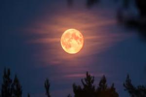 କାର୍ତ୍ତିକ ପୂର୍ଣ୍ଣିମାରେ 'ସୁପରମୁନ', ବର୍ଷର ସବୁଠୁ ବଡ଼ ଓ ଉଜ୍ଜଳ ଚନ୍ଦ୍ର...