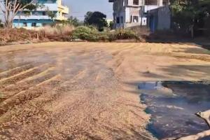 ପିଏଚଡି ପାଇପ ଫାଟିଯିବାରୁ ପାଣିରେ ଭିଜି ନଷ୍ଟ ହୋଇଗଲା ବସ୍ତା ବସ୍ତା ଧାନ, ଚିନ୍ତାରେ ଚାଷୀ