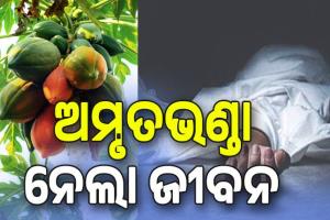 ଅମୃତଭଣ୍ଡା ତୋଳିବା ହେଲା କାଳ, ଚାଲିଗଲା ଜଣେ ମହିଳାଙ୍କ ଜୀବନ...