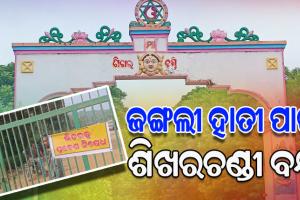 ଶିଖରଚଣ୍ଡୀରେ ବୁଲୁଛନ୍ତି ଦନ୍ତା ହାତୀ, ପର୍ଯ୍ୟଟକଙ୍କ ପ୍ରବେଶ ଉପରେ ଅଙ୍କୁଶ ଲଗାଇଲା ବନ ବିଭାଗ