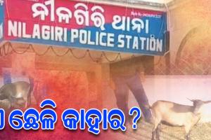 'ଗୋଟିଏ ଛେଳିକୁ ଦୁଇଜଣ ମାଲିକ', ପ୍ରକୃତ ମାଲିକକୁ ଚିହ୍ନିବାକୁ ଥାନାରେ ଛେଳିର ଟିଆଇ ପରେଡ୍