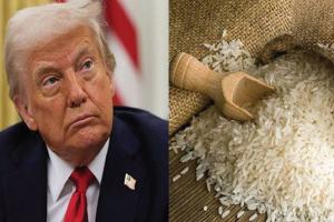 ଶସ୍ତା ଚାଉଳ ନେଇ ଭାରତ ଉପରେ ଟ୍ରମ୍ପ କ୍ଷୁବ୍ଧ, ଚାଉଳ ଆମଦାନୀ ଉପରେ ଅତିରିକ୍ତ ଶୁଳ୍କ ଲଗାଇବାକୁ ଧମକ