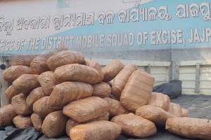 ଉପରେ ପାଣି ବୋତଲ, ଭିତରେ ଚାଲାଣ ହେଉଥିଲା ଗଞ୍ଜେଇ; ମାଡିବସିଲା ଅବକାରୀ ବିଭାଗ, ୨ଗିରଫ