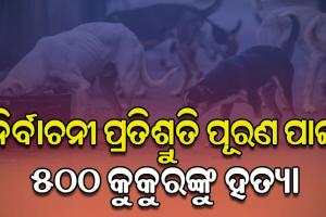 ତେଲେଙ୍ଗାନାରେ ଅମାନବୀୟ କାଣ୍ଡ: ନିର୍ବାଚନୀ ପ୍ରତିଶ୍ରୁତି ପୂରଣ ପାଇଁ ୫୦୦ ବୁଲା କୁକୁରଙ୍କୁ ହତ୍ୟା