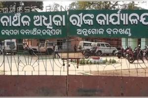 ବୋମା ଖାଇ ହାତୀ ମୃତ୍ୟୁ ପରେ ବନ ବିଭାଗର ତତ୍ପରତା: ବନ୍ୟଜନ୍ତୁଙ୍କ ସୁରକ୍ଷା ପାଇଁ ଆରମ୍ଭ ହେଲା 'ଜୀବେ ଦୟା' ଅପରେସନ