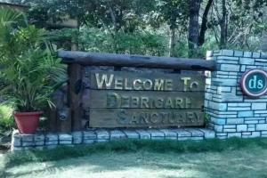 ଦେବ୍ରୀଗଡ଼କୁ ଆସିବେ ୨ଟି ନୂଆ ବାଘ: ଜଙ୍ଗଲ ଓ ପରିବେଶ ମନ୍ତ୍ରୀ