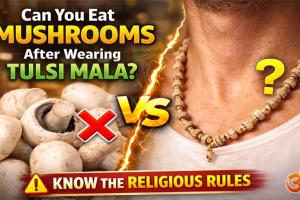 ତୁଳସୀ ମାଳି ଧାରଣ କରିବା ପରେ ଛତୁ ଖାଇପାରିବେ କି? ଜାଣନ୍ତୁ କ’ଣ କହୁଛି ଶାସ୍ତ୍ର ଓ ନିୟମ
