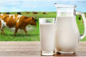 ସାବଧାନ ! ଓଡ଼ିଶା ବଜାରରେ ବିକ୍ରି ହେଉଛି ନିମ୍ନମାନର କ୍ଷୀର