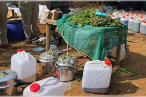 ୨୦୦ କୋଟିର ଗଞ୍ଜେଇ ତେଲ ସହ ୧ ଟନ୍ ଗଞ୍ଜେଇ ଜବତ କଲା କୋରାପୁଟ ପୁଲିସ