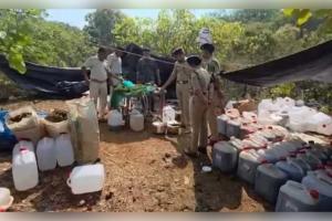 କୋରାପୁଟରେ ବଡ଼ ଧରଣର ଡ୍ରଗ୍ସ କାରବାର ପର୍ଦ୍ଦାଫାସ: ୨୦୦ କୋଟିର ହାସିସ୍ ତେଲ ଓ ୨୦୦୦ କେଜି ଗଞ୍ଜେଇ ଜବତ