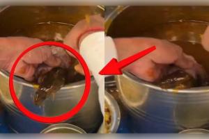 ଗୁପଚୁପ୍ ପ୍ରେମୀ ସାବଧାନ! ମସଲା ପାଣିରୁ ବାହାରିଲା ଜୀବନ୍ତ ମୂଷା, ଭିଡିଓ ଦେଖିଲେ ଉଡ଼ିଯିବ ହୋସ୍