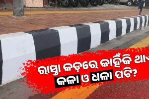 ରାସ୍ତା କଡ଼ରେ ଥିବା ପଥରରେ କାହିଁକି ଥାଏ କଳା ଓ ଧଳା ରଙ୍ଗ? ଜାଣନ୍ତୁ ଏହା ପଛର ପ୍ରକୃତ କାରଣ