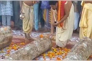 ମହାପ୍ରଭୁଙ୍କ ରଥନିର୍ମାଣ ପାଇଁ ଆରମ୍ଭ ହେଲା ରଥ କାଠ ଚିରଟ 