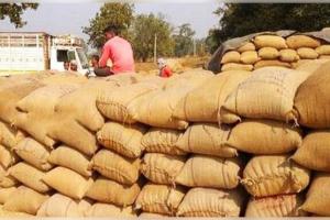 ଆଜି ପୁରୁଛି ଧାନ କିଣା କଣ୍ଟ: ଏବେ ବି ଧାନ ଧରି ବସିଛନ୍ତି ଲକ୍ଷାଧିକ ଚାଷୀ 