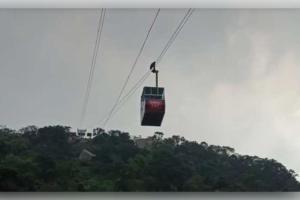 ଛତିଶଗଡ଼ର ମହାସମୁନ୍ଦରେ ବଡ଼ ଅଘଟଣ: ଖଲ୍ଲାରୀ ମନ୍ଦିର ରୋପୱେ ଛିଣ୍ଡି ଜଣେ ମୃତ, ୧୬ ଆହତ