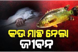 ମାଛ ଧରିବା ସମୟରେ ପାଟିରେ ପଶିଗଲା କଉ ମାଛ, ଚାଲିଗଲା ଯୁବକଙ୍କ ଜୀବନ 