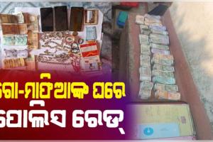 ଗୋ-ମାଫିଆଙ୍କ ବିରୋଧରେ ତିନି ଜିଲ୍ଲାରେ ବଡ କାର୍ଯ୍ୟାନୁଷ୍ଠାନ: ମୟୁରଭଞ୍ଜର ୧୫ ସ୍ଥାନରେ ଚଢ଼ାଉ, ବିପୁଳ ନଗଦ ଓ ସୁନା-ରୂପା ଜବତ