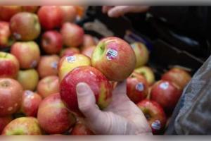 ଫଳରେ ଲାଗିଥିବା ଷ୍ଟିକର ସାଜିପାରେ ଘାତକ: ଜାଣନ୍ତୁ ଏହା ପଛରେ ଥିବା କାରଣ ଏବଂ FSSAI ର ଚେତାବନୀ