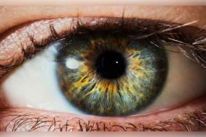 ମଣିଷ ପ୍ରକୃତରେ 'ଅନ୍ଧ'! ବ୍ରହ୍ମାଣ୍ଡର ୯୫ ପ୍ରତିଶତ ଅଂଶ ଦେଖିବାକୁ ଆମେ ଅକ୍ଷମ, ଜାଣନ୍ତୁ ବୈଜ୍ଞାନିକ କାରଣ