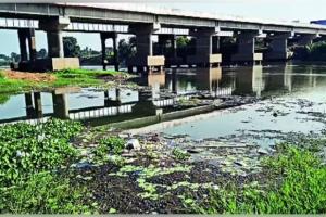 ପ୍ରାଚୀ, ଧନୁଆ ଓ ଦୟା ନଦୀର ହେବ ପୁନରୁଦ୍ଧାର