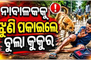 ଗଞ୍ଜାମରେ ଅଭାବନୀୟ ଘଟଣା: ୯ ବର୍ଷର ଶିଶୁପୁତ୍ରକୁ ଝୁଣି ପକାଇଲେ ବୁଲା କୁକୁର 