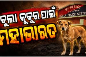 ଛେଳିକୁ ଆକ୍ରମଣ କଲା ବୁଲା କୁକୁର, ହେଲେ ମାଡ ଖାଇଲେ ବିଧବା ମହିଳା ଏବଂ ଦିବ୍ୟାଙ୍ଗ ଝିଅ
